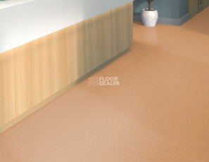 Tarkett iq Melodia 2643 фото 2 | FLOORDEALER